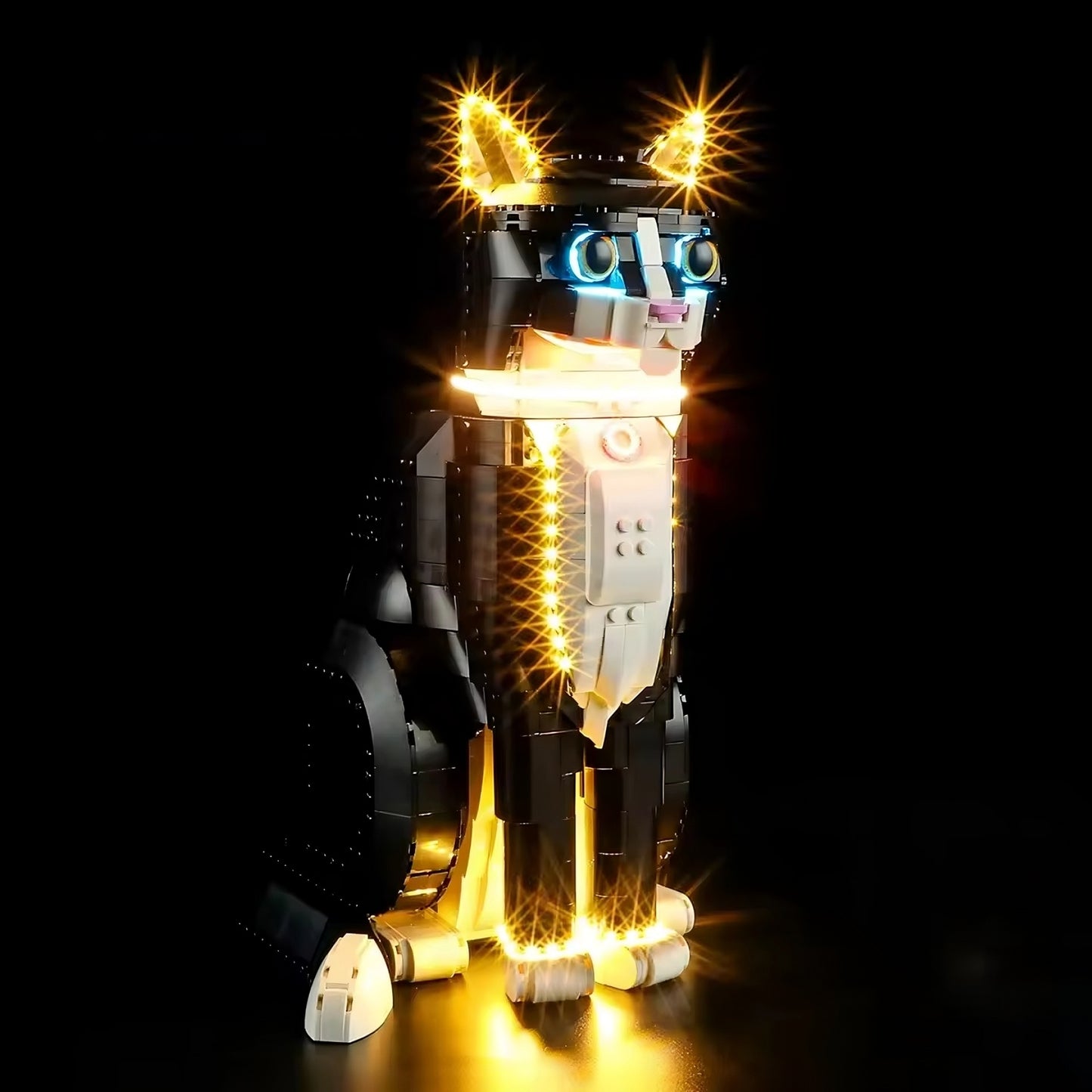 Iluminação para Gato de Smoking