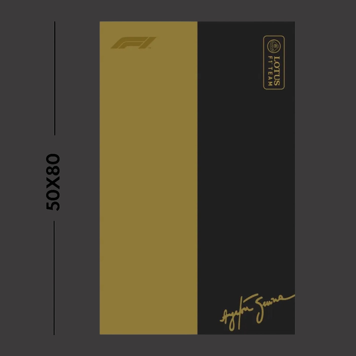 Quadro Fosco – Fórmula 1 Lótus nº 12